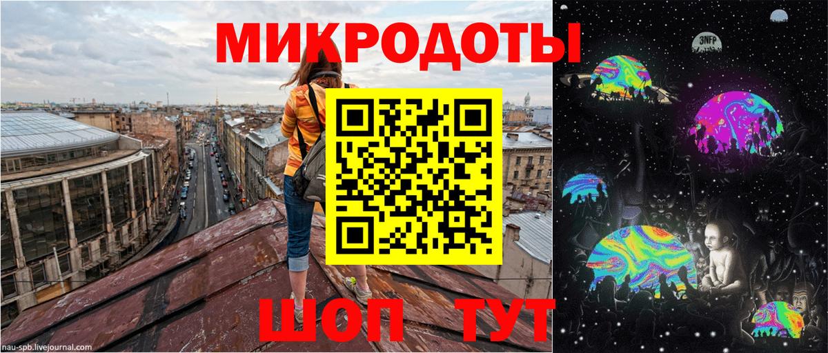 Галлюциногенные грибы Psilocybine cubensis Когалым